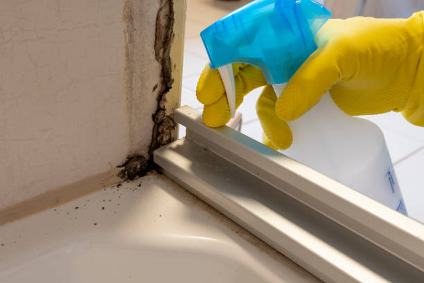 Best Mold Odor Removal Services  in Archer Lodge, NC